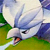 ../../services/passlord/avatars_ng/avatars/50d16423427d04cba57e60e688aec7b1.jpg